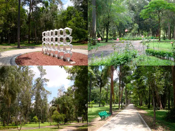 Parque Gonzalez Gallo