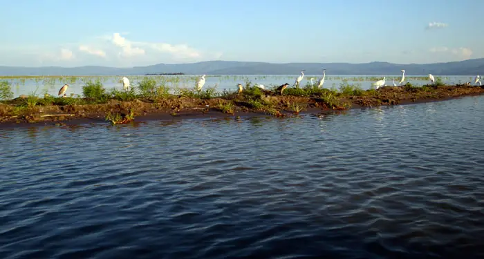 Lago-de-Chapala