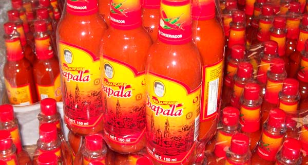 Salsa-Chapala