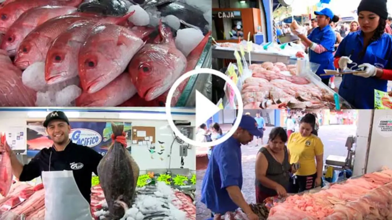 Mercado del Mar Zapopan: Entre los más grandes de México - Zona Guadalajara